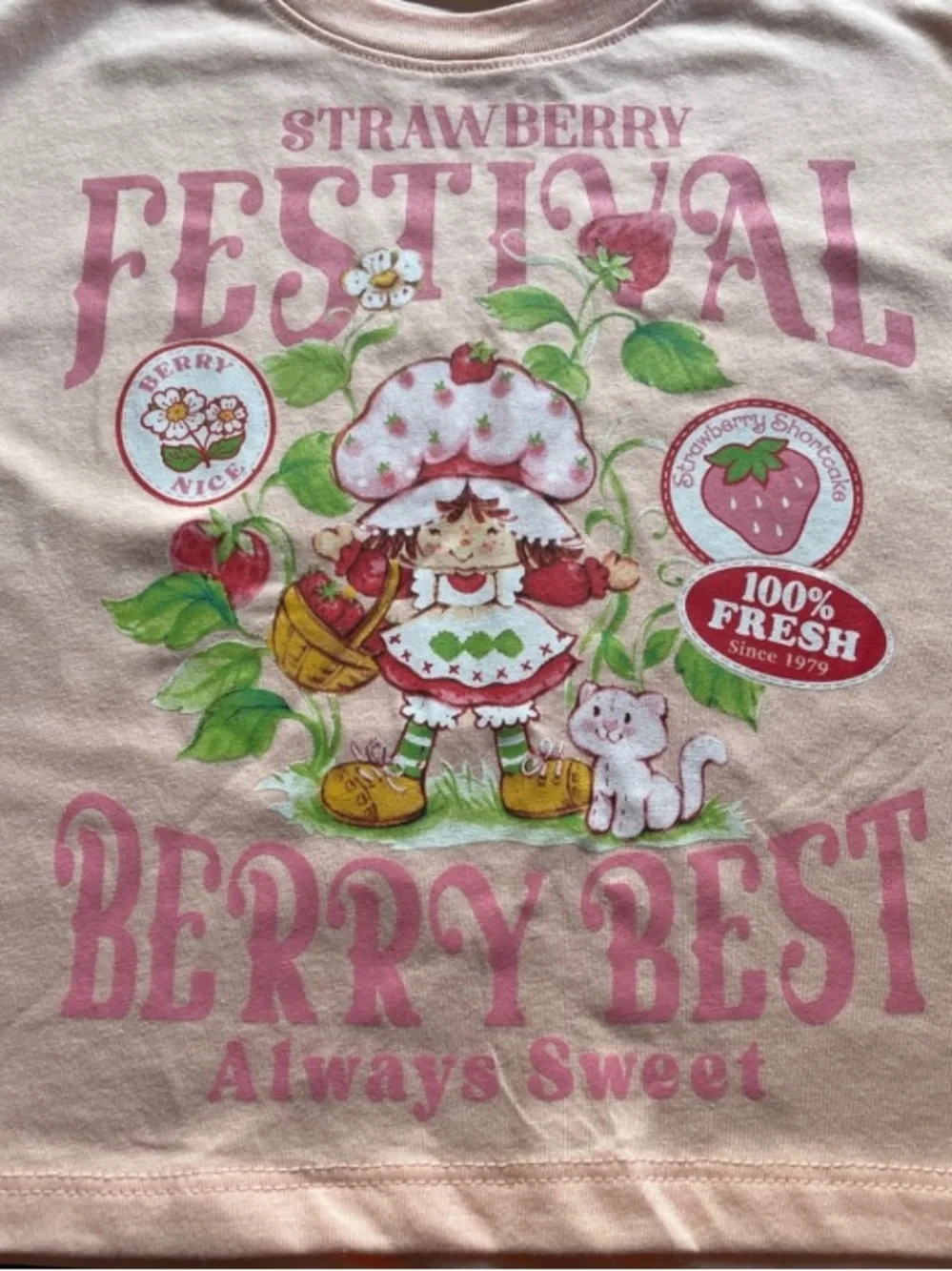 Girls 2T Strawberry Shortcake Shorts Set